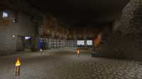 fort elz on earth (10)